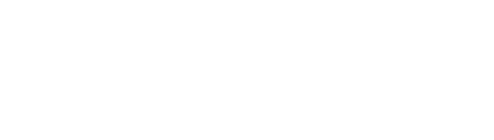 Nexnet